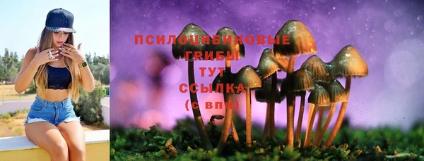 синтетический гашиш Балахна