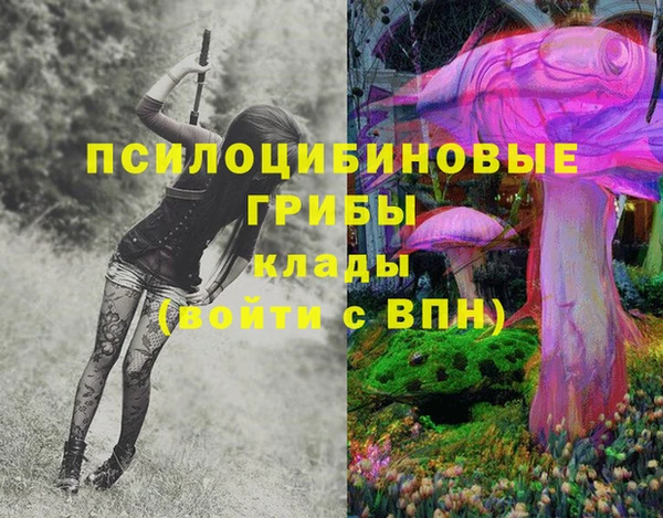 винт Баксан
