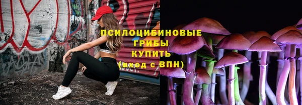 винт Баксан