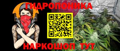 сатива Краснознаменск