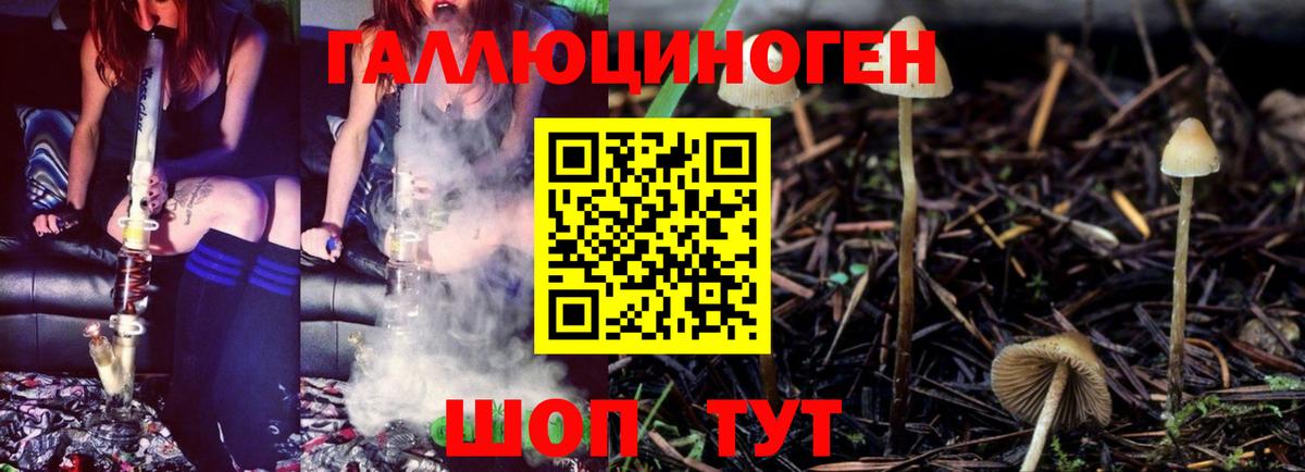 Псилоцибиновые грибы MAGIC MUSHROOMS Острогожск